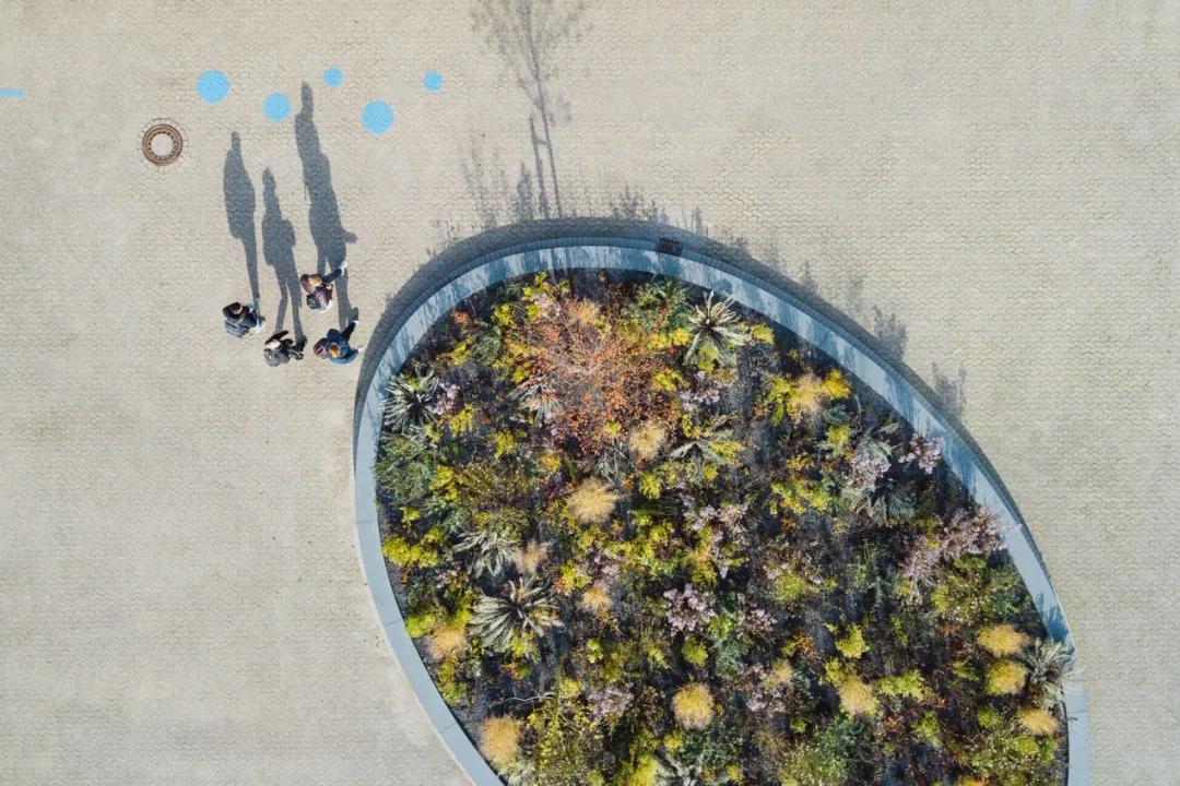 2019鸟瞰图,推荐鸟瞰图