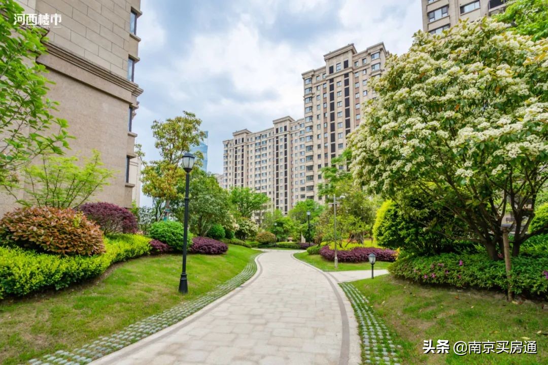 河西中新豪宅全景图,河西中心豪宅内部图片