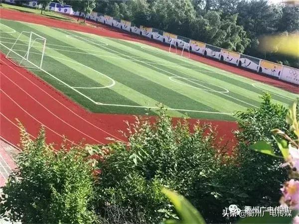 全国足球特色幼儿园名单公布,衢州足球特色学校名单