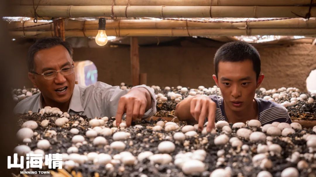 山海情结束后的感受,山海情追剧