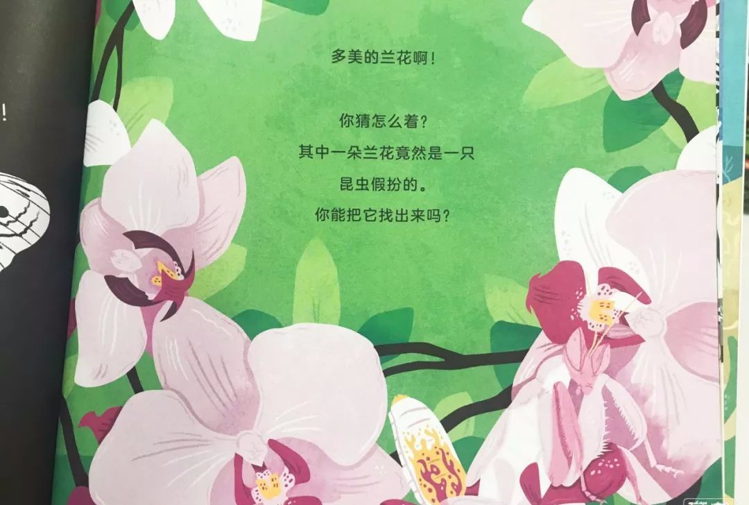 这套让娃沉迷一整天的科普书，连大人都忍不住偷着玩！畅销300万