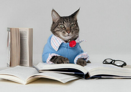 当代年轻人的缺钱法宝：花呗，信用卡，*款贷**