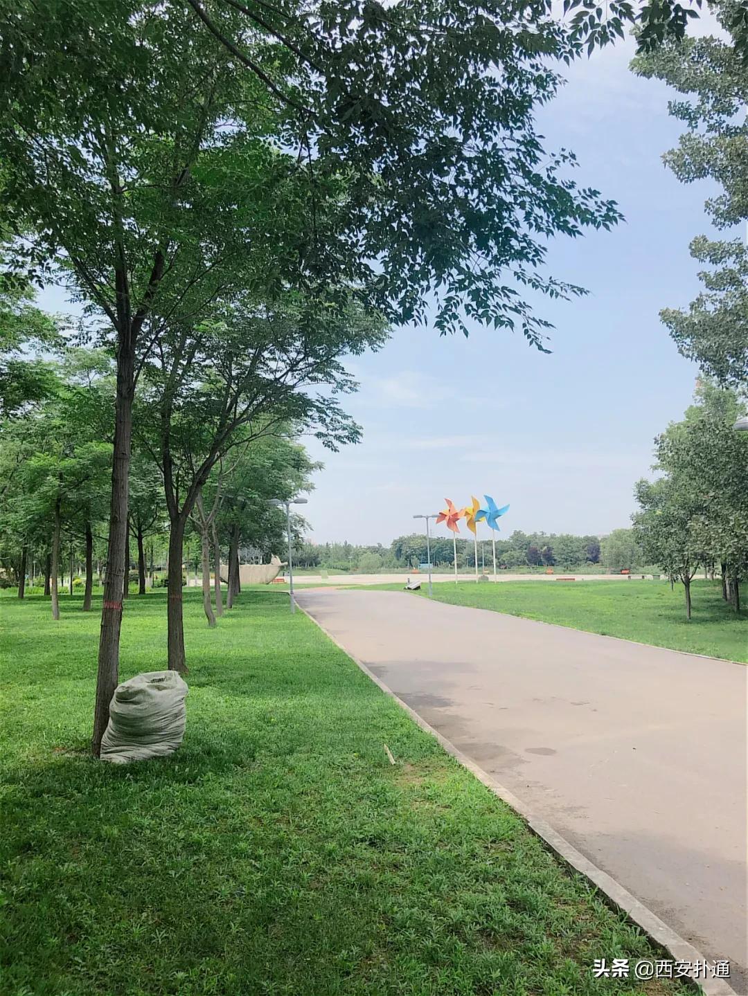 浐灞国家湿地公园最美地方,浐灞湿地公园有啥好玩的