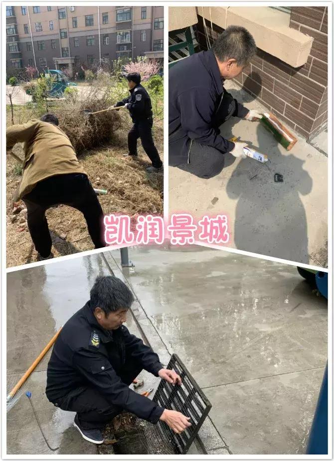 创城有我,创城有我秦皇岛