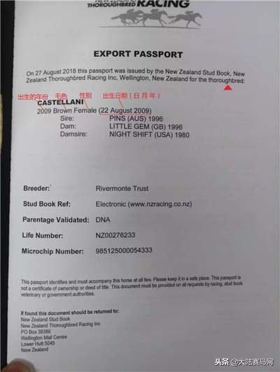 马也有护照？中国、日本的最好辨认，法国居然这么写！