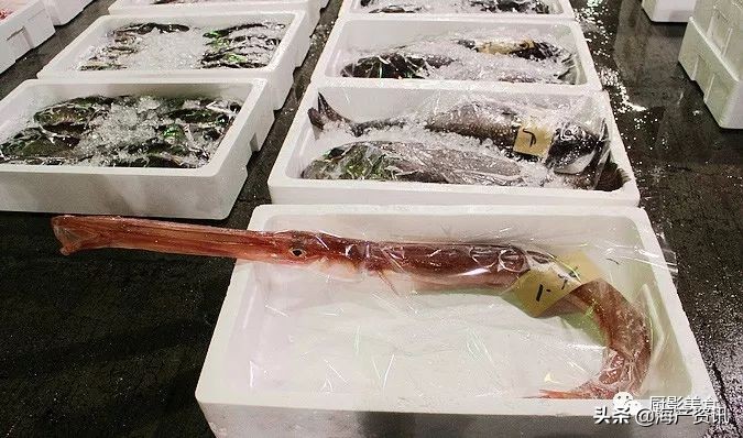 世界公认十大海鲜,全球顶级海鲜食材大赏