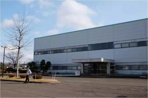 硬刚女皇龙妈也扛不住法令纹,2条沟壑让人心疼,贴一贴就消了