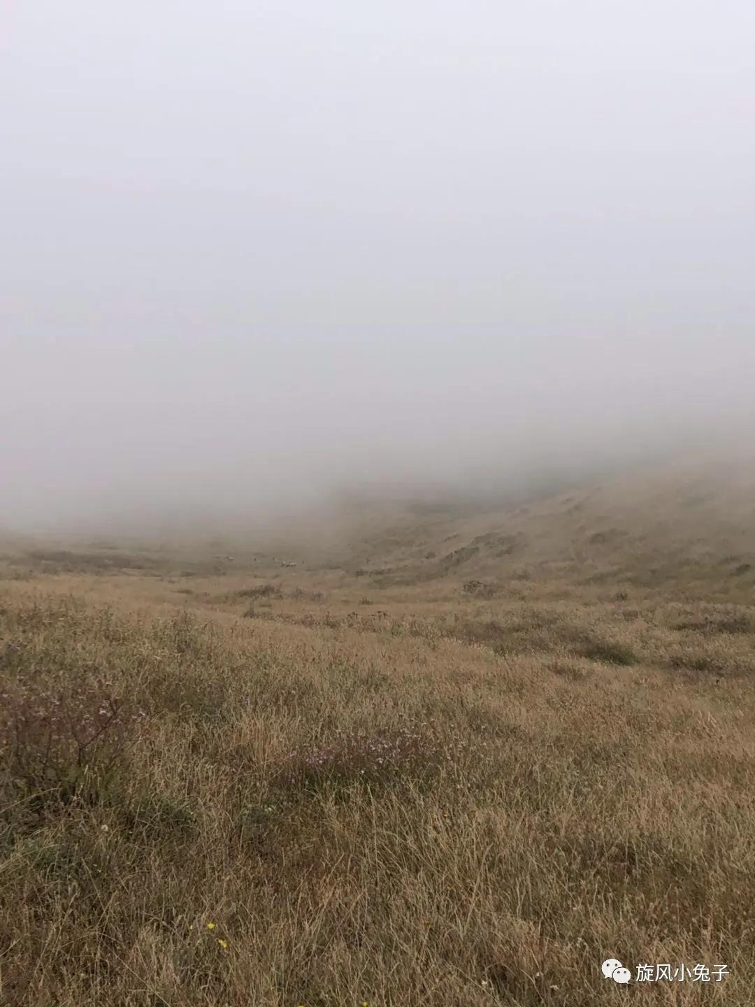 加州沿海1号公路,加州沿海一号公路一日游推荐