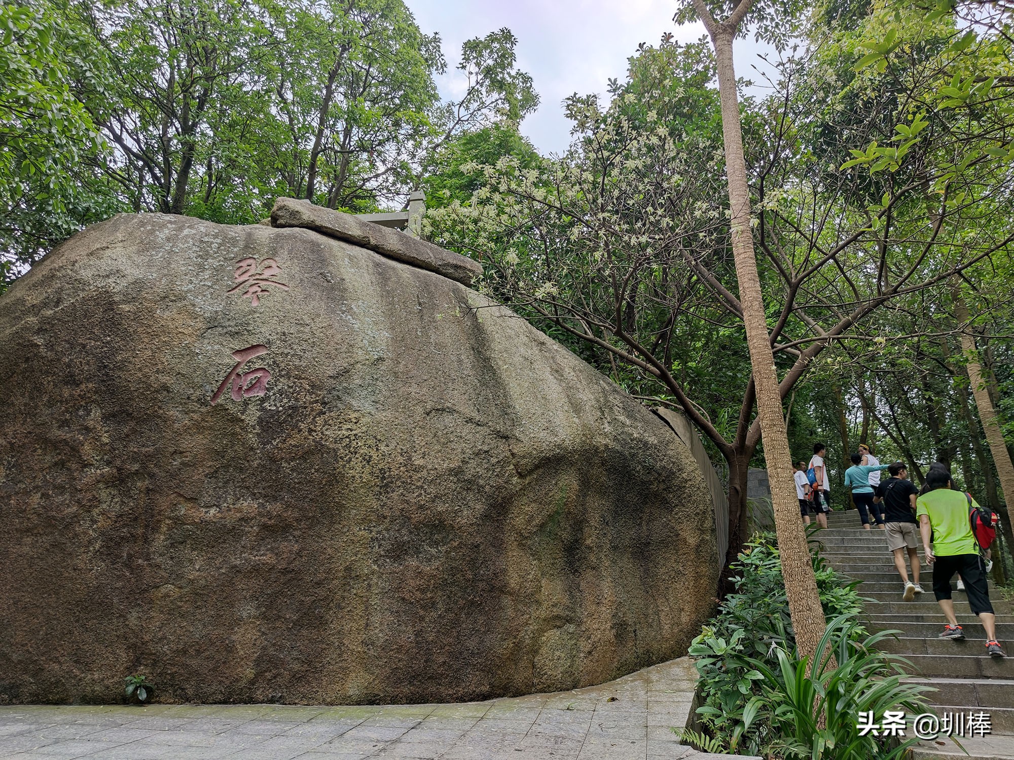 深圳最长的海岸线爬山攻略,凤凰山适合老人孩子的爬山攻略