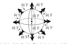 人教版八年级下册物理第八章力,八年级下册物理第8章运动和力