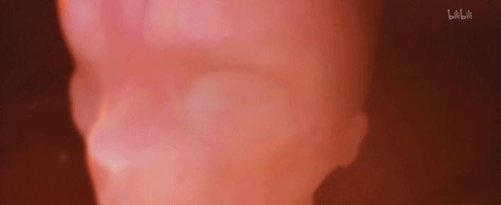 苦等18年,他终于要炸翻全场