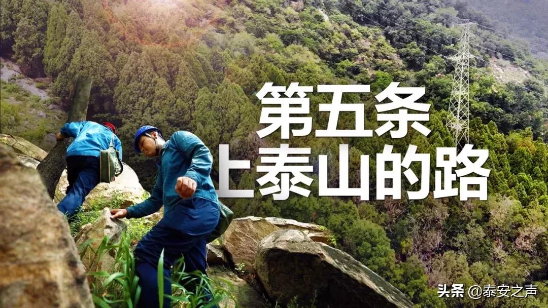 泰山隐藏路线,登泰山步行有几条路