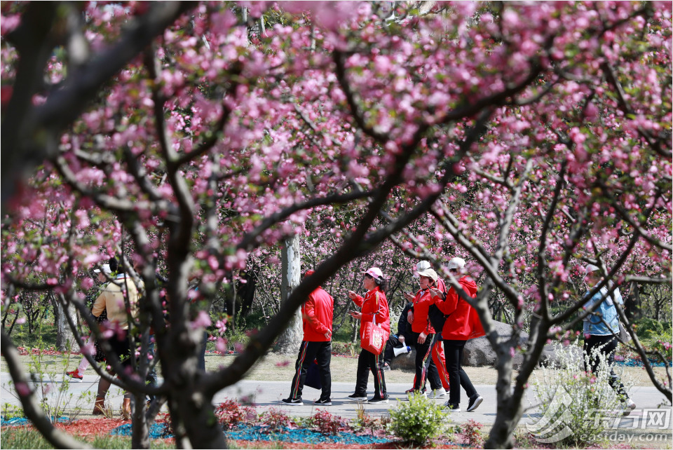 黄兴公园四季特色,黄兴公园美景