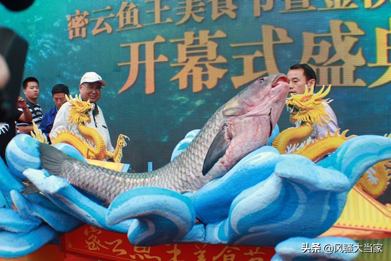 北京密云水库游玩哪里位置最好,密云水库吃鱼一日游