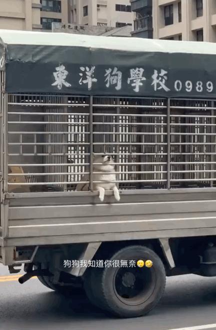 在网上买的盲盒靠谱吗,在网上买大批盲盒靠谱吗