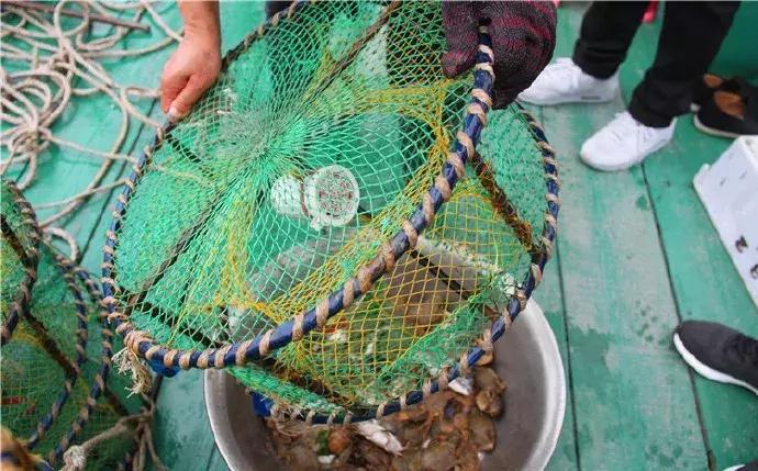 浙江海边吃海鲜的自驾游最好去处,浙江国庆去哪里玩好推荐几个地方