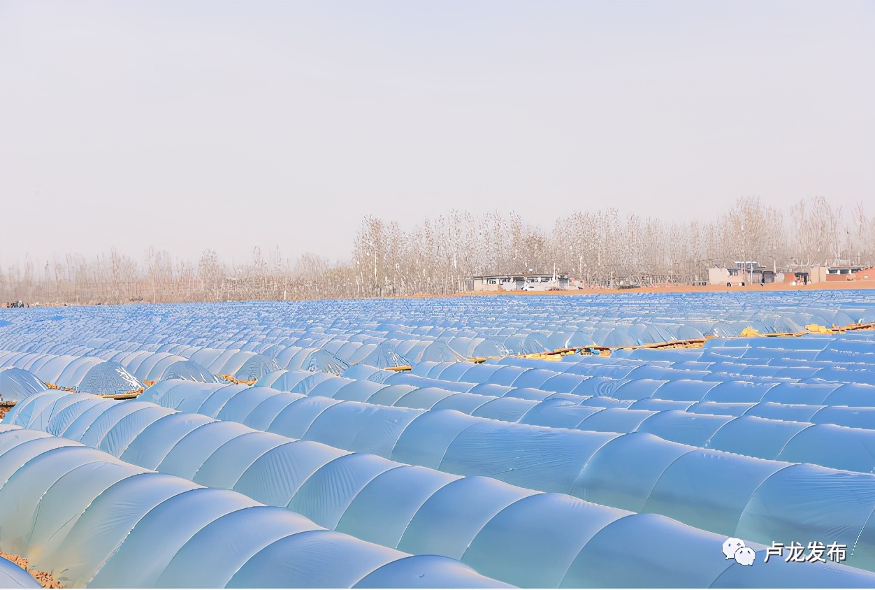 刘振海安阳,刘振海莒县