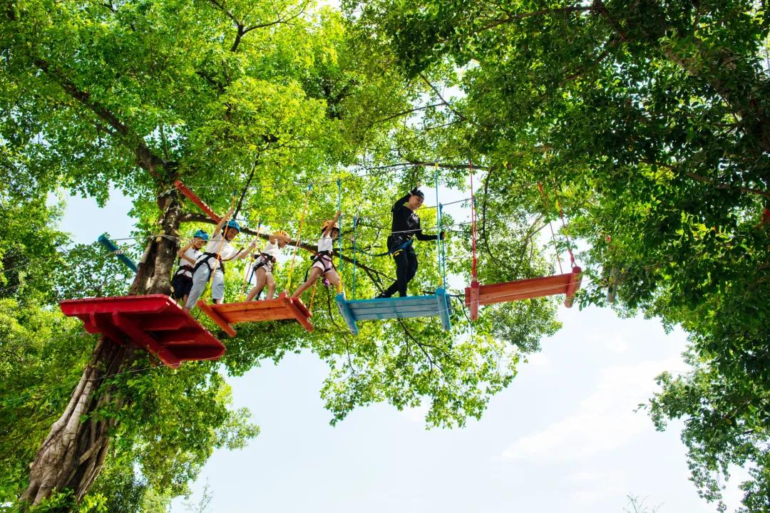 英德宝晶宫天鹅湖温泉酒店好玩吗,英德宝晶宫天鹅湖温泉酒店别墅