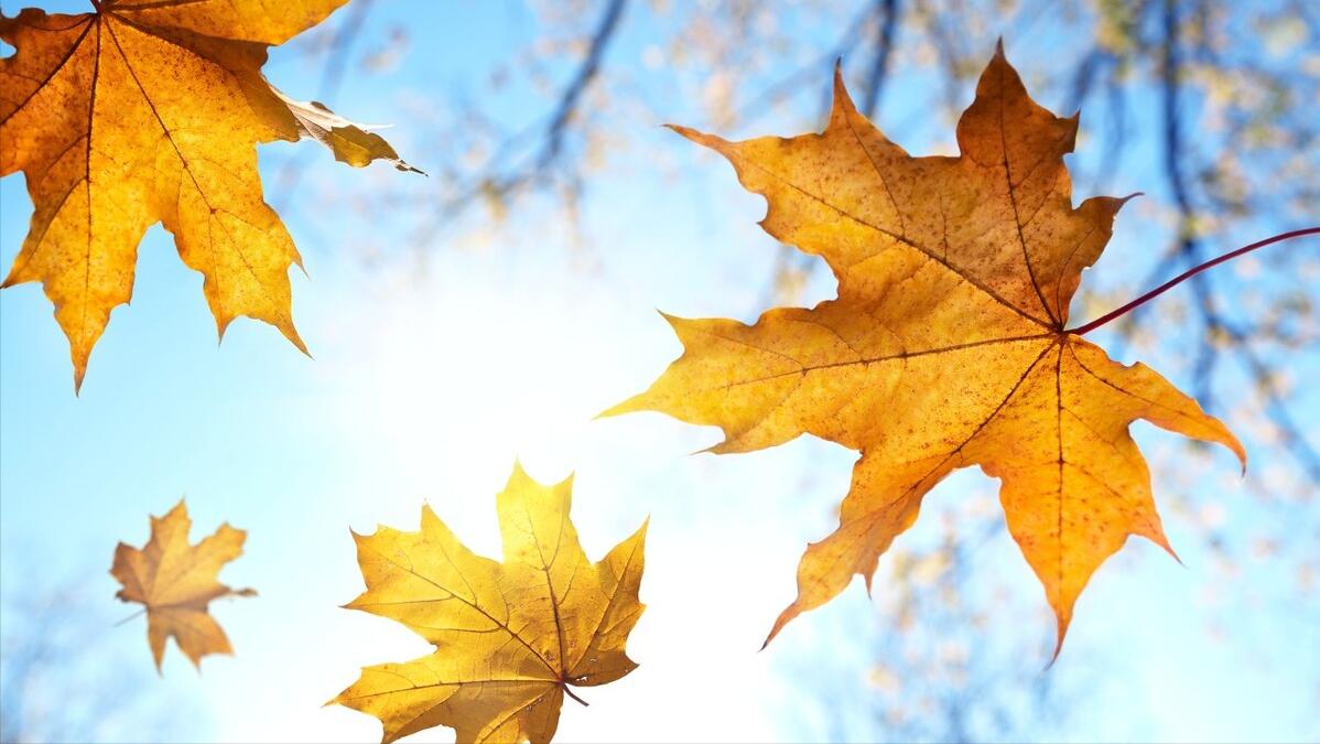 初中英语一般将来时完整讲解,初中英语的时态大全