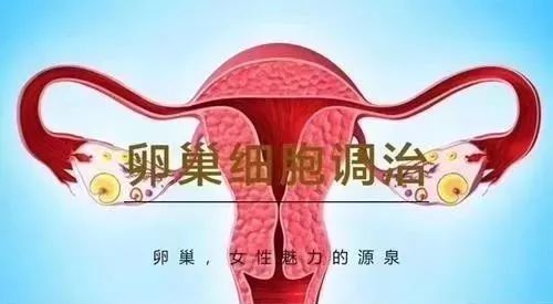 干细胞治疗卵巢早衰的权威医院,上海干细胞治疗卵巢早衰