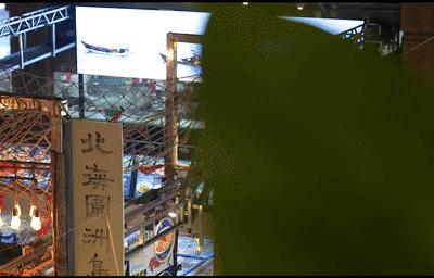 精品珠江|在椰林,吃个青菜都是海鲜做的