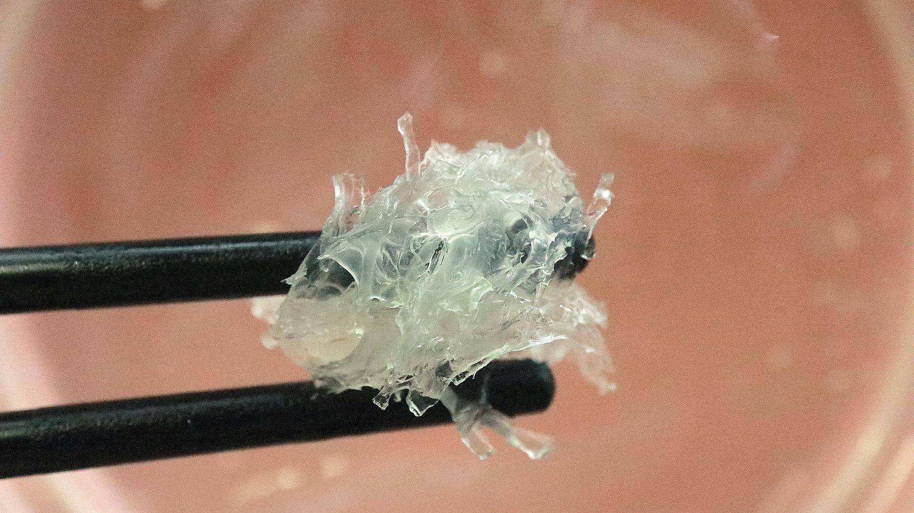 燕窝胶原蛋白七白饮是智商税吗,燕窝是天生好物吗