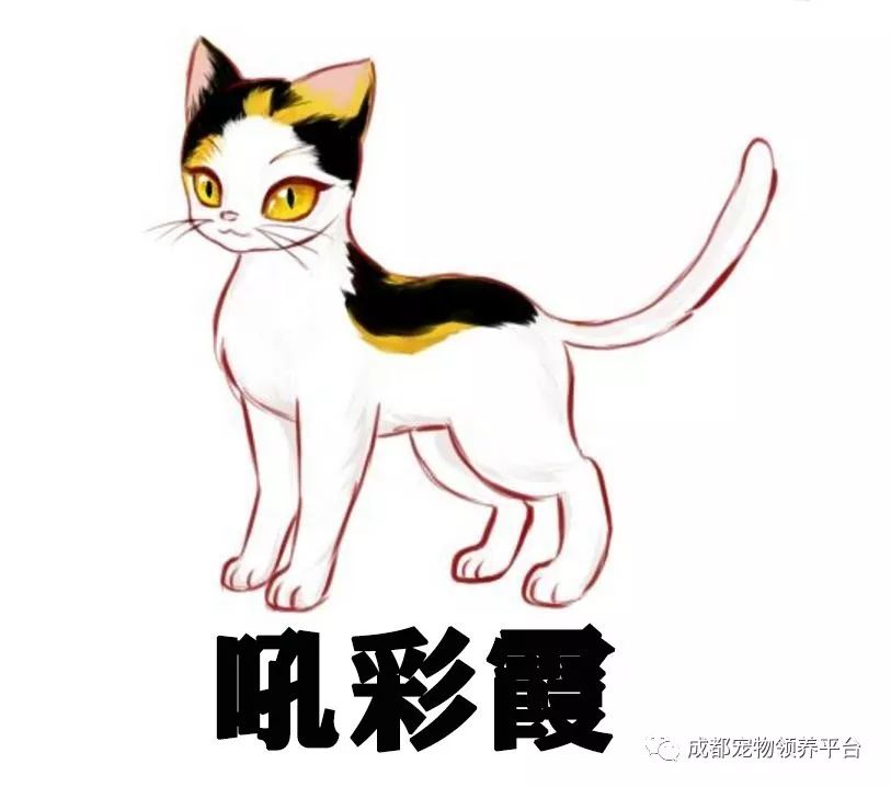 谁说土猫无名猫？快来围观古代猫谱，你家有没有镇宅神兽！