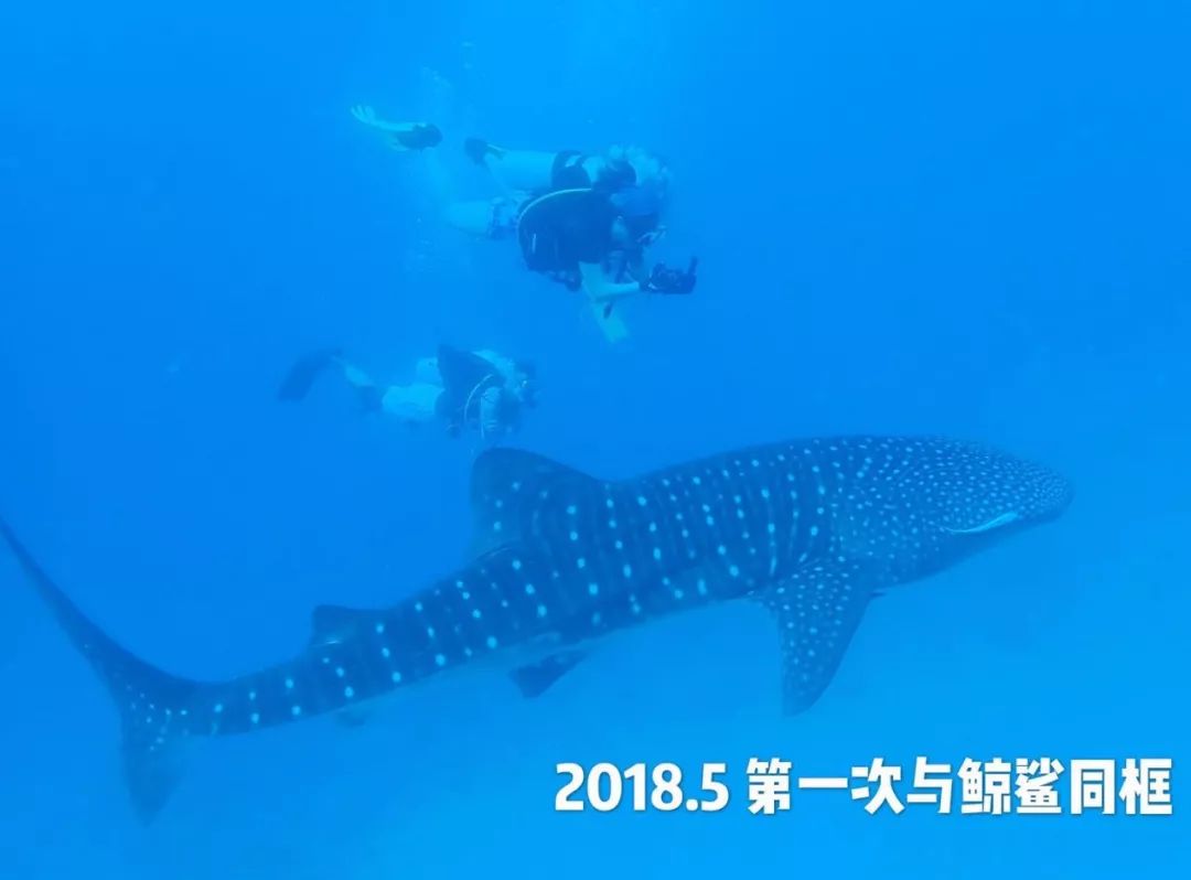 潜水如何节省气,10个简单又可能被忽略的潜水技巧