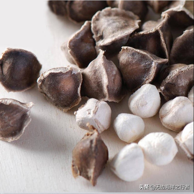 长期吃辣木籽真的有那么神吗,辣木籽味道有科学依据吗