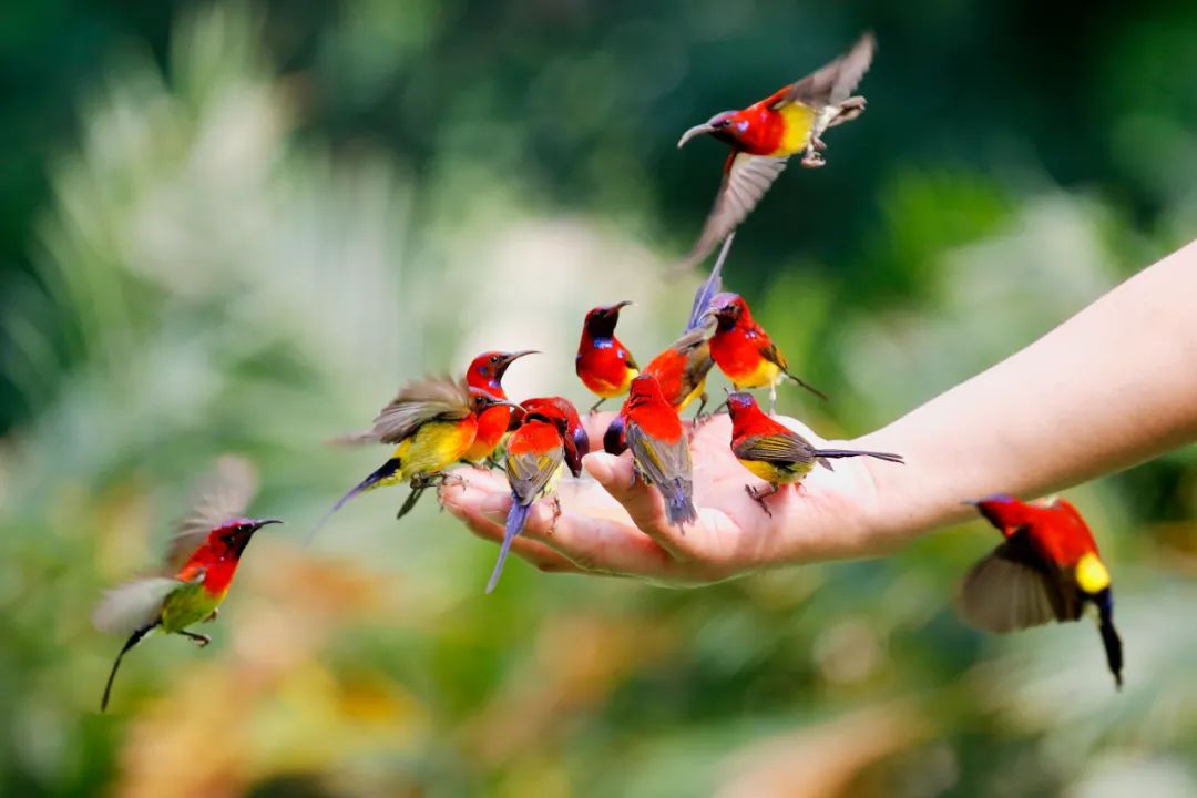 香港第14届全国摄影艺术展,第29届全国摄影艺术展览获奖名单