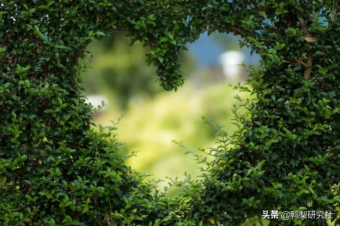 书送希望|创易开创携手掌阅，寄情捐书2000册