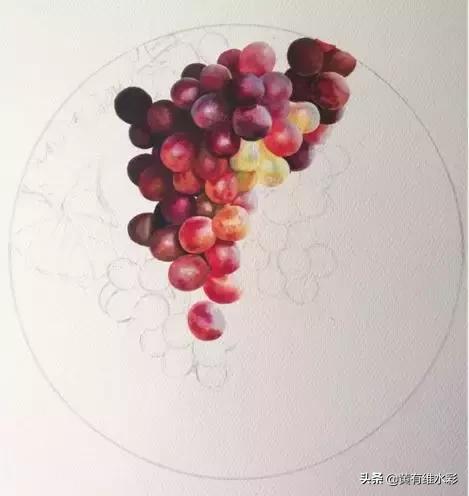 晶莹剔透的葡萄,水彩葡萄图片