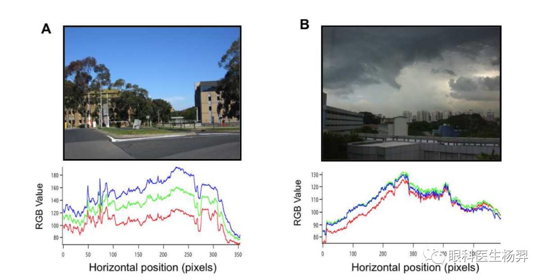户外活动为什么能防控近视,户外活动防控近视背后的秘密