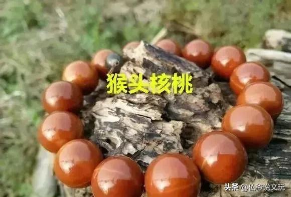 星月金刚凤眼的区别,星月菩提凤眼菩提金刚菩提怎么选