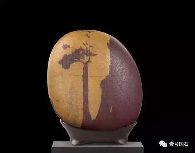 为什么很多喜欢玩石头人,为什么很多人喜欢石头