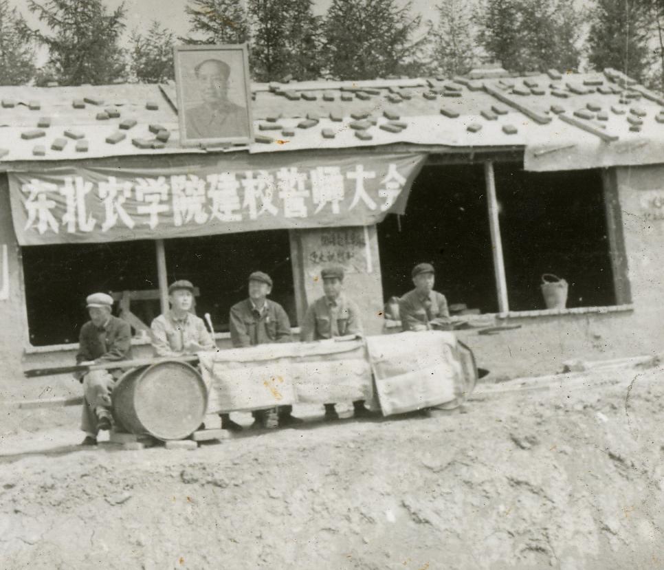 70后眼中的齐齐哈尔大学,70年代的东北大学