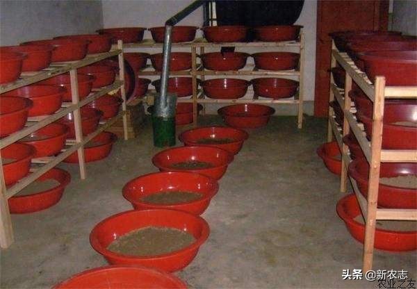 不懂养殖技术从哪里求助,搞养殖不懂去哪咨询