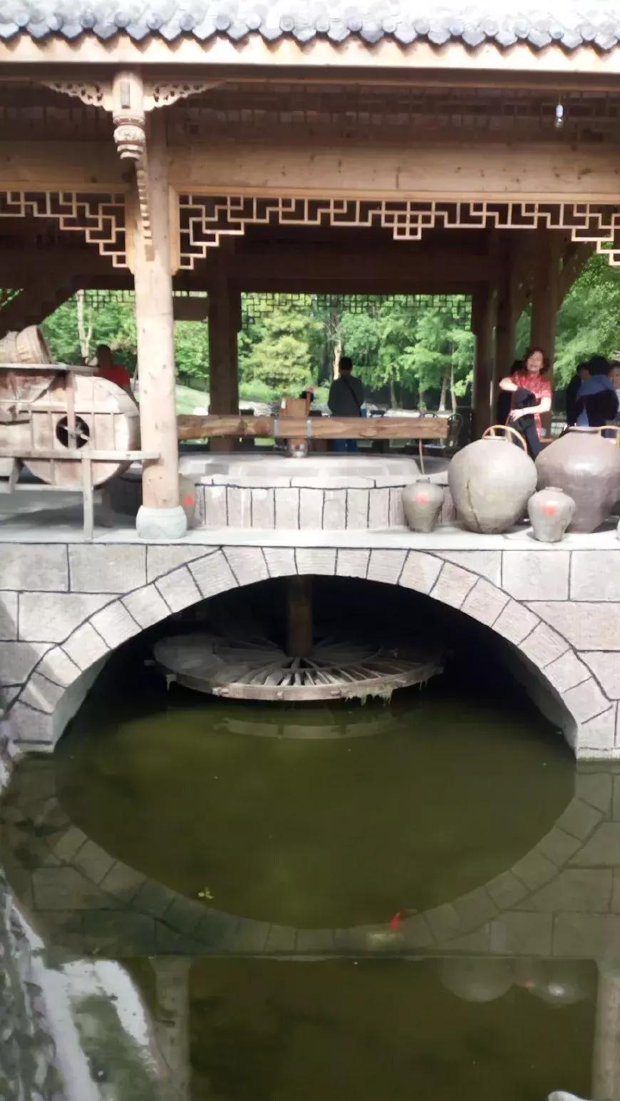 垂钓都江堰桃花岛,都江堰桃花岛