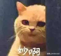 初学者如何使用kissme眼线笔,kissme眼线笔真实测评黑茶色