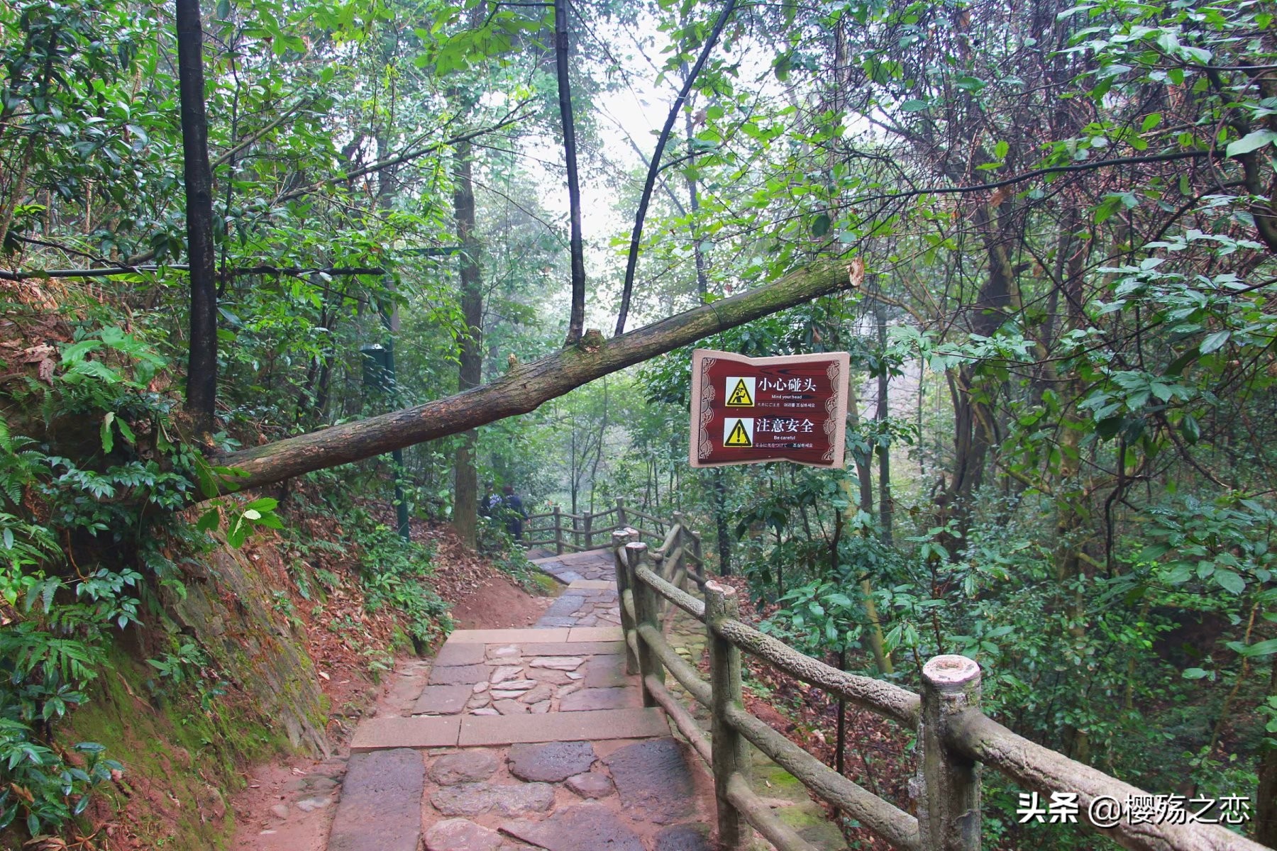 浙江三爿石旅游攻略,浙江唯一的世界自然遗产