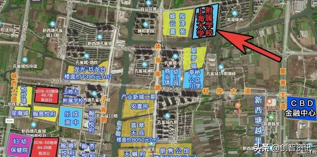 嘉善教育孩子,嘉善教育发展趋势