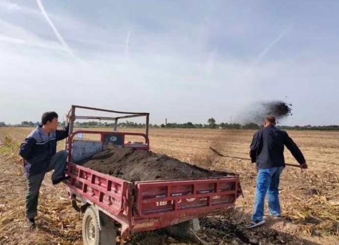 黑龙江黑土地被盗事件,偷黑土被判刑后续