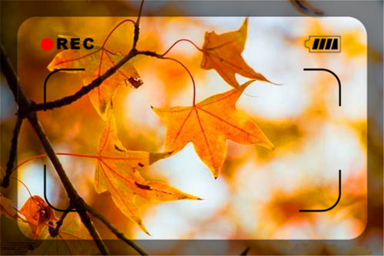 中年负债人如何翻身,负债累累的中年人该如何东山再起