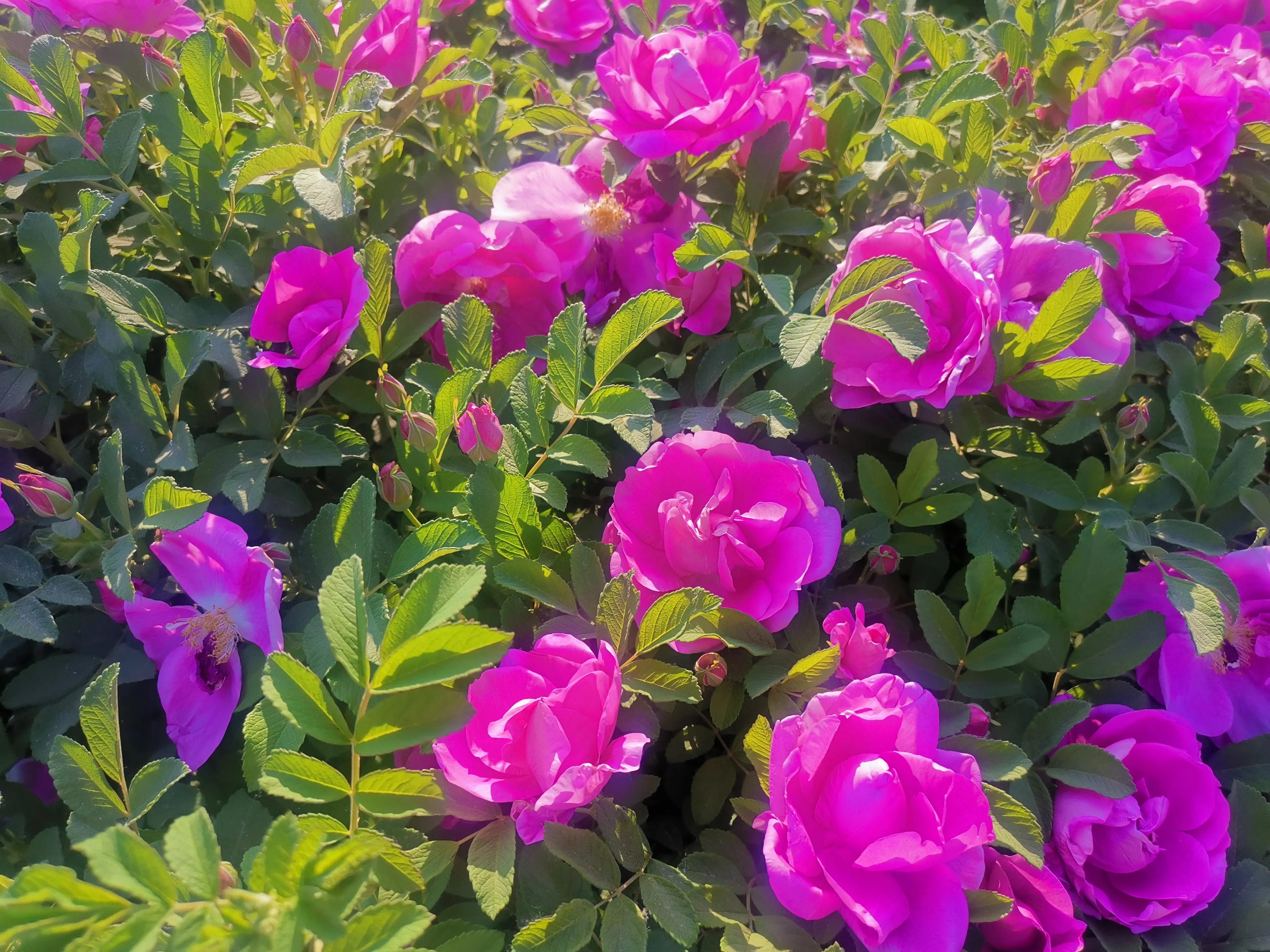 记忆模糊的三年,记忆回到三年前