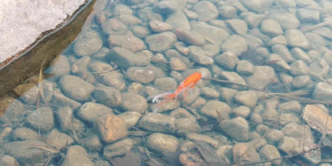 有关秦皇岛的歌曲,这些经典流行歌曲满满的都是回忆