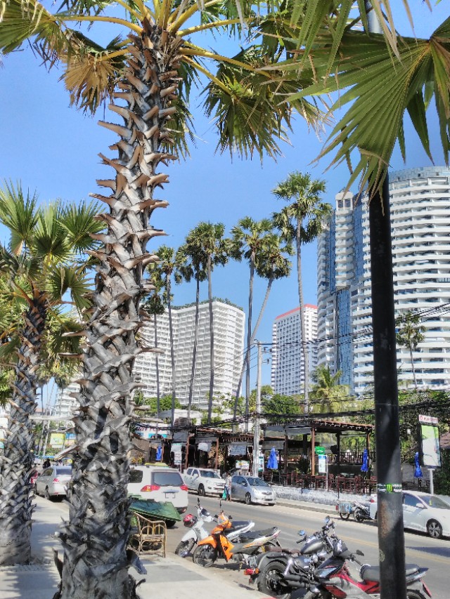 泰国芭提雅旅游,关于泰国芭提雅