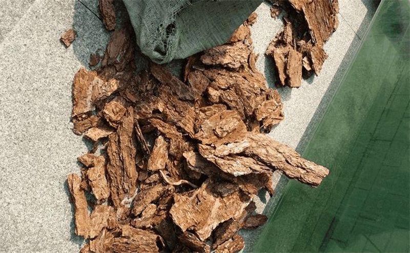 松树皮怎样处理可以做兰花植料,种植兰花只需要用松树皮就够了么