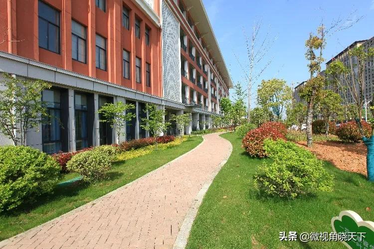 信阳最好的5所高中,信阳最好的十所高中