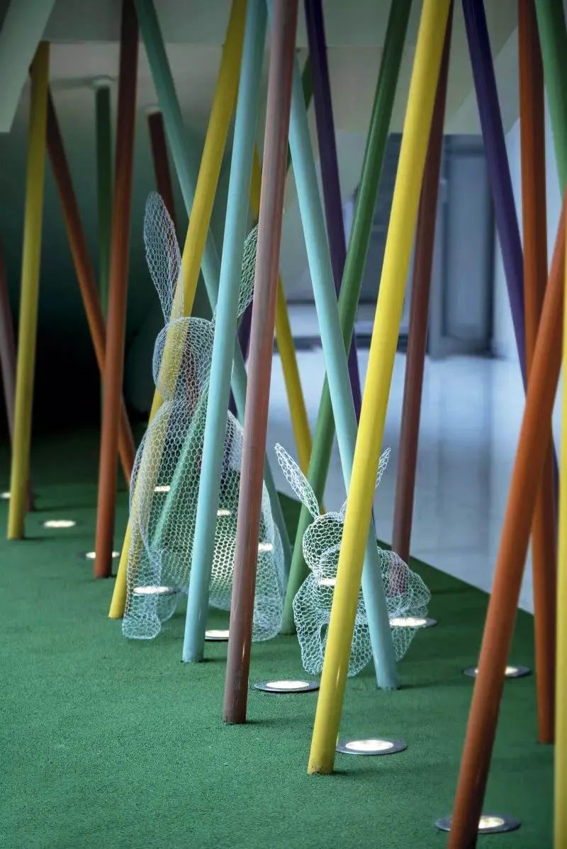 萌宠上阵，整个空间都奇趣了！