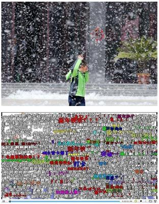 为了替你出气，我们给讨厌的杨柳絮来个“以暴制暴”